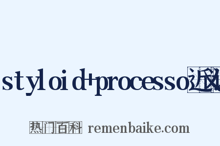 styloid+processo近义词是什么意思的图片